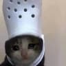 میـ🐱ـوت🔇