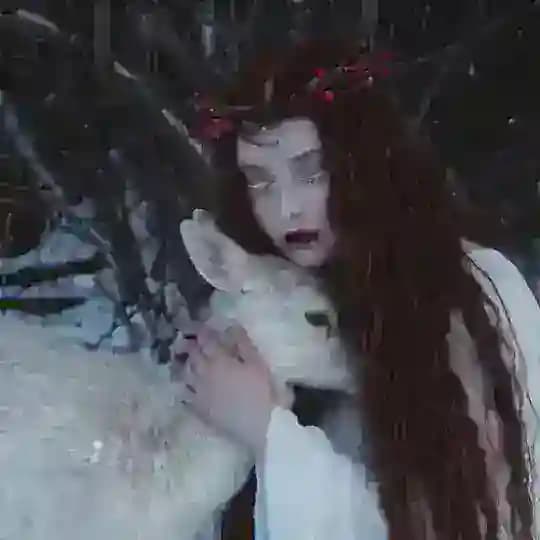 ReindeerPh 📷
