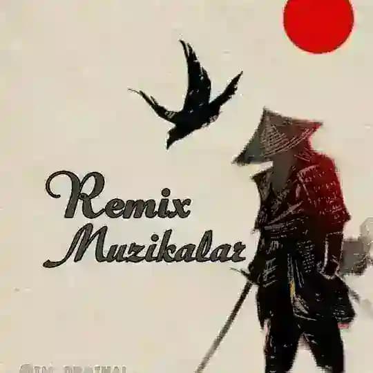 Remix muzikalar ๏ฃฟ๐