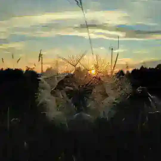 Глухая деревня