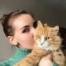 Спасаем бездомных котиков (RescueCatsTeam)