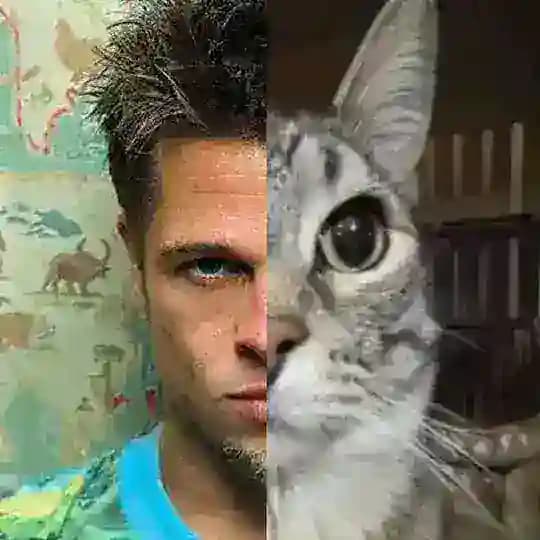 RESSELER JOESTAR