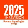 2025 Revision Main Channel