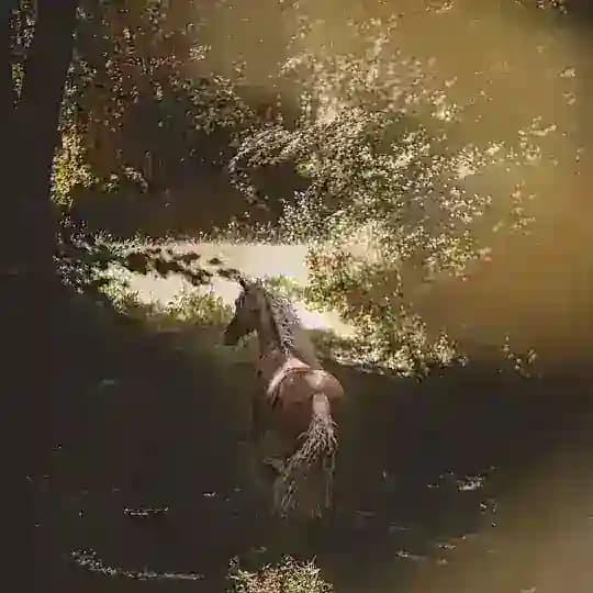 đđđđđđđđ