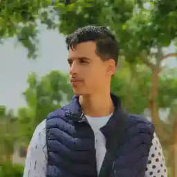 R.H | freelance Profile