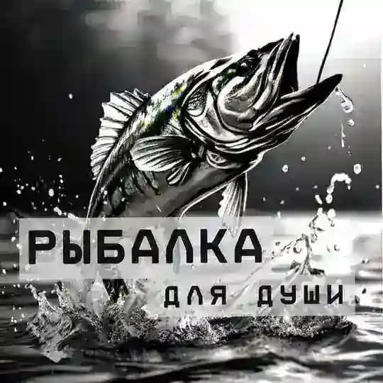 Рыбалка для души 🎣