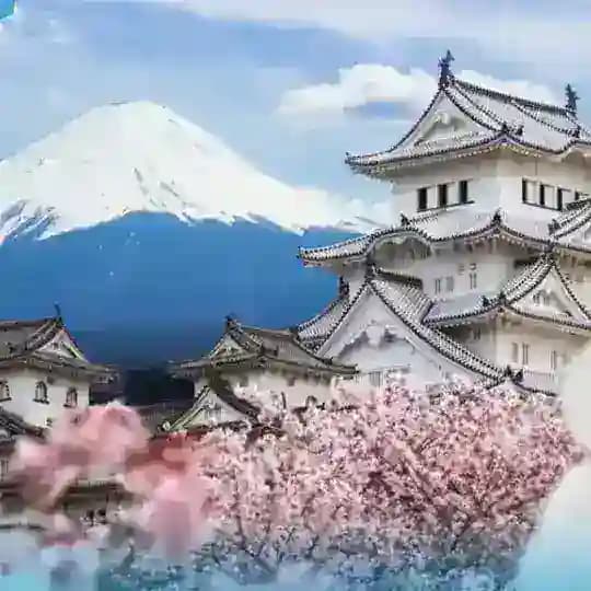 日本素材|套图|人设|美食|文案