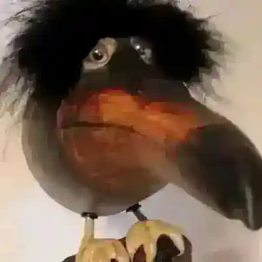 рыбовый склад 𓆟