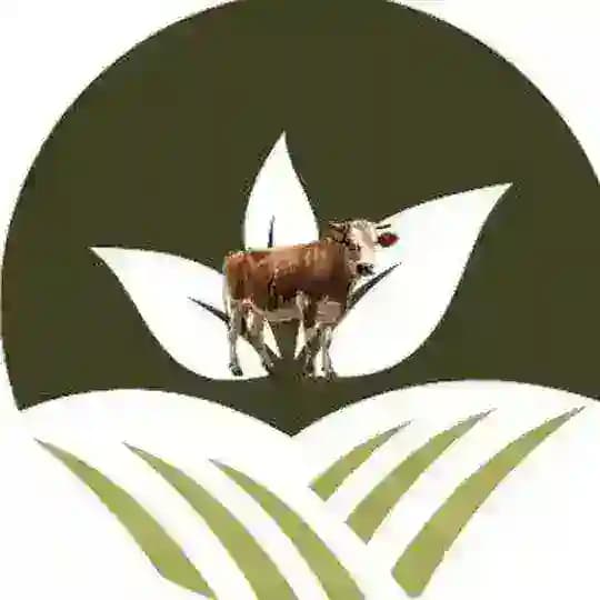 Farm Returns Business Ent.