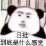 日·记