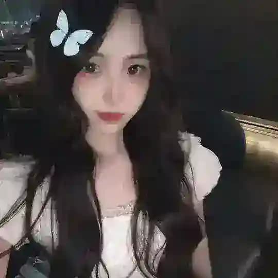 温州 茶花汇 💞