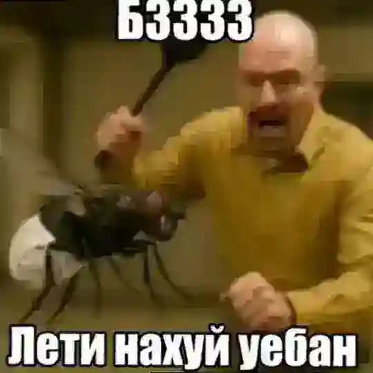 Гойда zzz ZOV