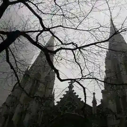 ســواد؟