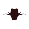 Rodeo
