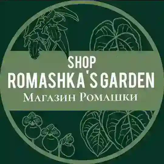 Shop Romashka plants