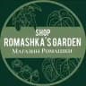 Shop Romashka plants