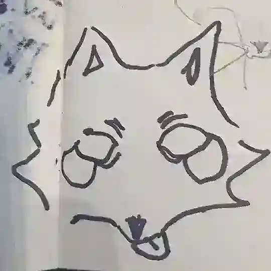 RONЯ