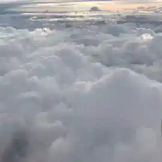 لا أبرح حتى أبلغ . 🌧️🌱