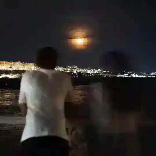 ينايـر║٢٠٠٢