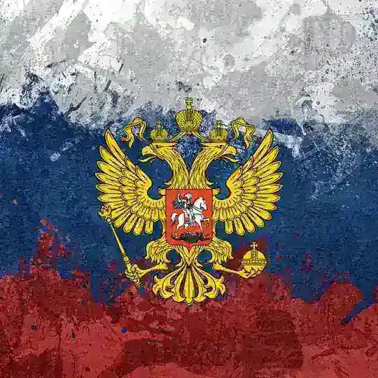 РОССИЯ СЕГОДНЯ Profile