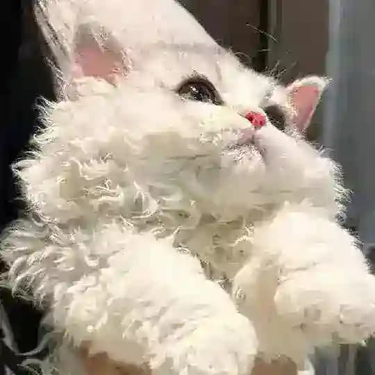 Полезные материалы