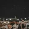 رُوح 🔻🤍