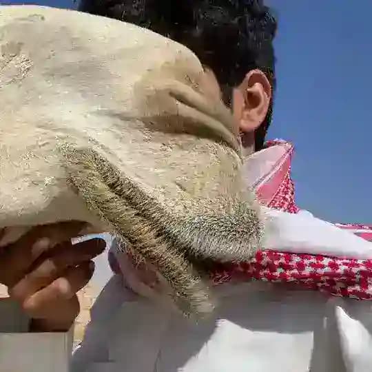 جسّاس