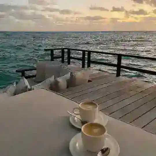إلتقَاطات عذبّة .