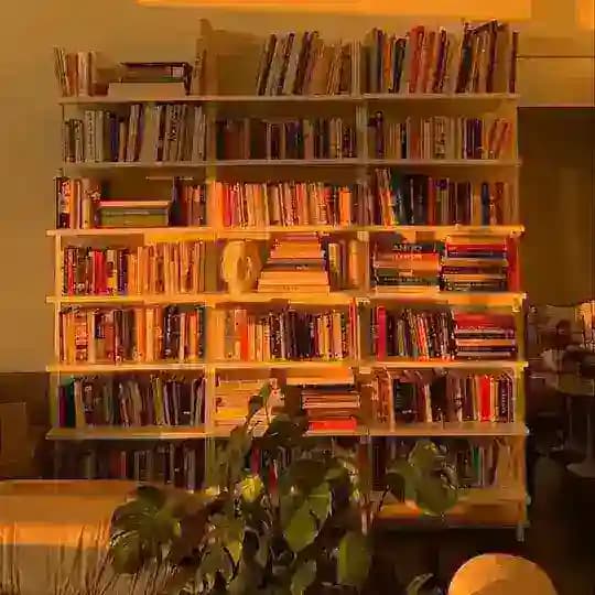 رفوف مكتبتي 📚