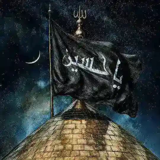 مِلكُ الزَّهراءْ . Profile