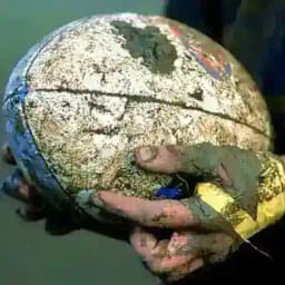 French Flair Betting Profile