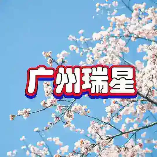 RX选妃