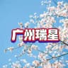 RX选妃