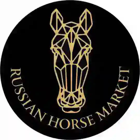 RUSSIAN HORSE MARKET | РОССИЙСКИЙ КОННЫЙ РЫНОК