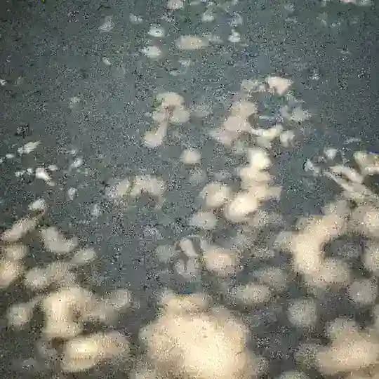 Рябь на асфальте