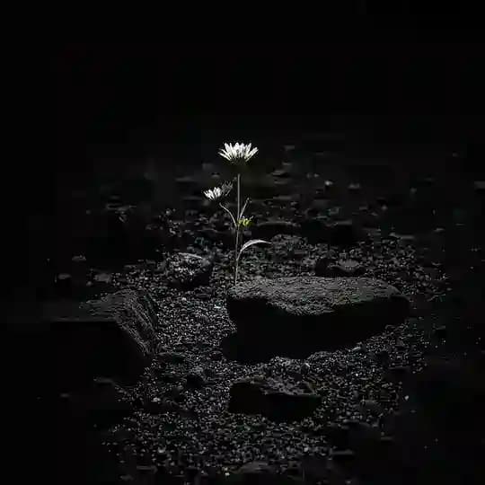 عُمق🖤.