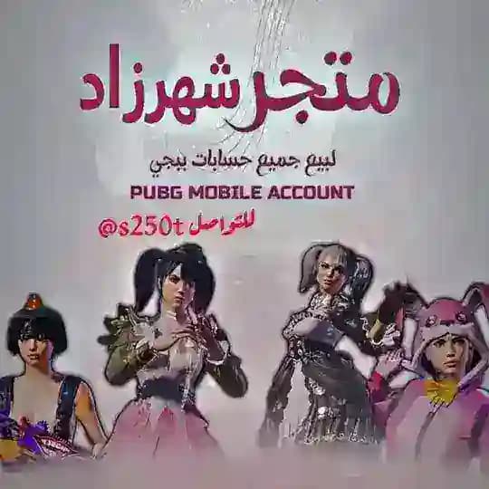 ثقة شهرزاد
