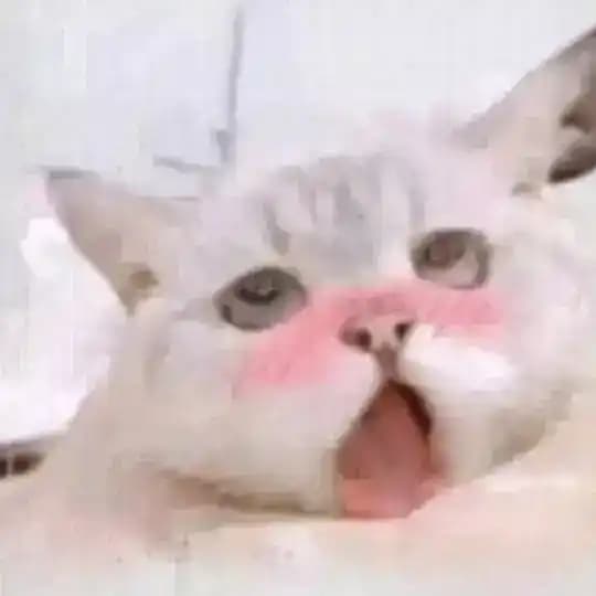 她的皎月闻月香