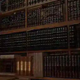 🌹صبر🇵🇸 Profile