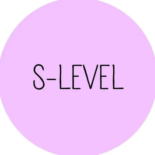 S-LEVEL