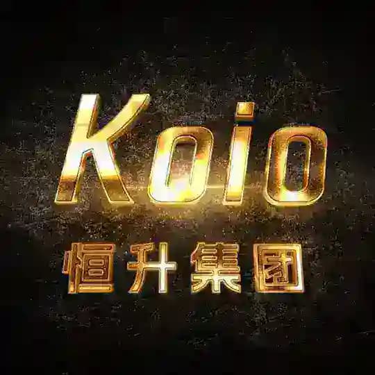 恒升 软件开发（外汇交易所招商）