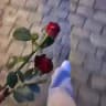 ݺ ســــــــٰين
