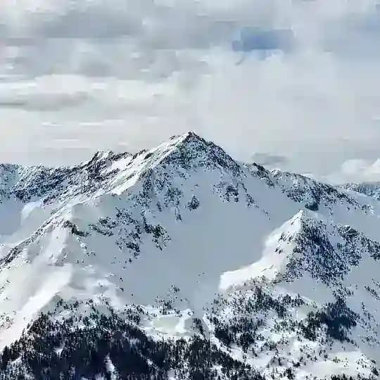 SaaS Founders Profile