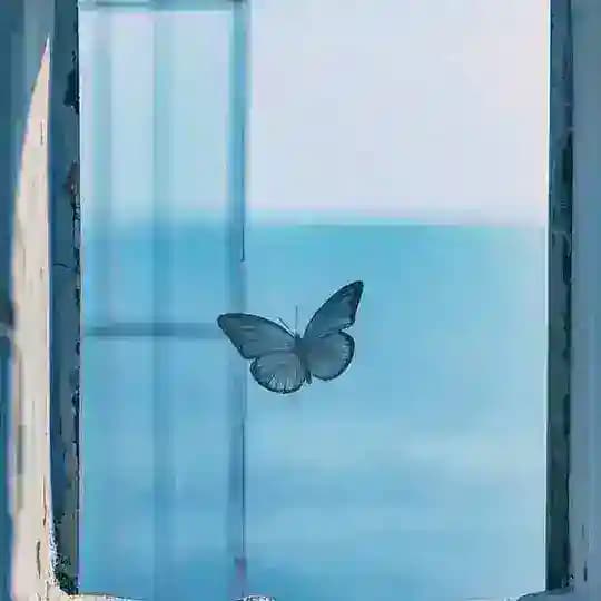 [قلب پروانه]