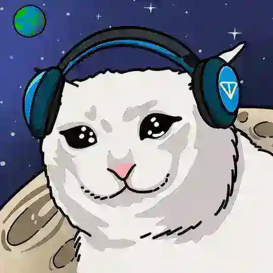 SAD MEOW_CTO