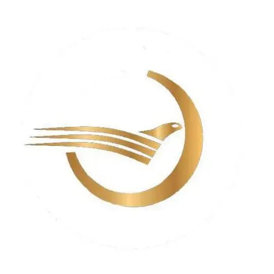سفرهای کاروان هوایی