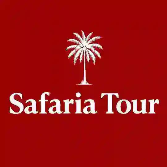 Safaria Tour - Qaynoq turlar🔥