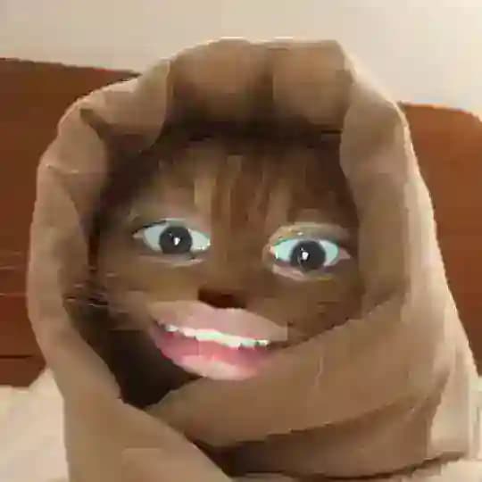 teaser poo