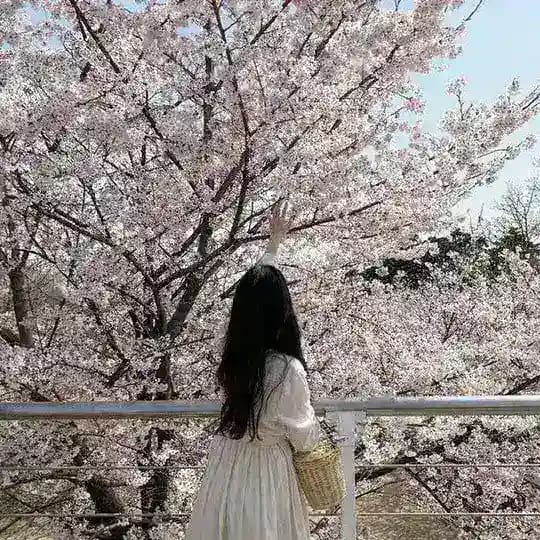๐๐๐ค๐ฎ๐ซ๐ ๐ฌ๐ญ๐๐ซ๐ฌ