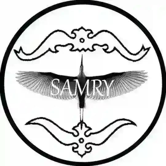 Samry одежда с этно